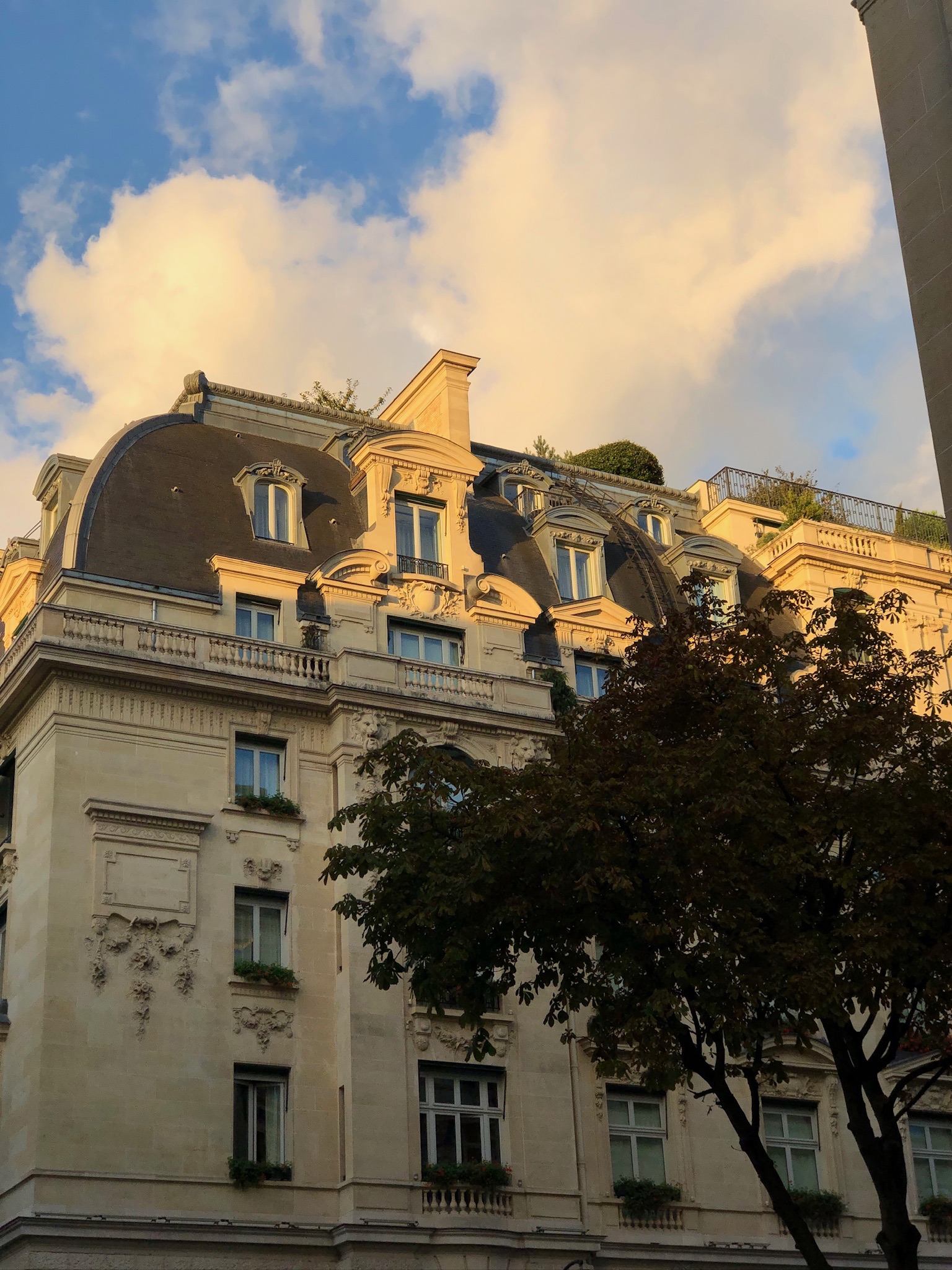 Paris photo